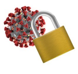 LOCKED DOWN, BUT NOT OUT!