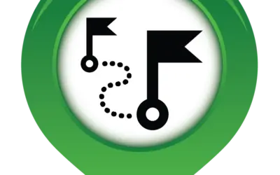 Digital Transformation – asking the right questions….